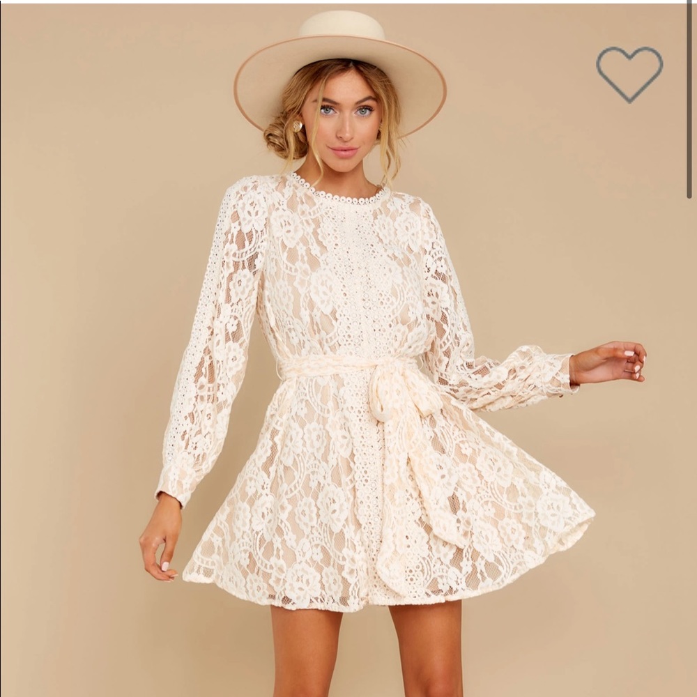 Champagne & Strawberries Vintage Romance Dress